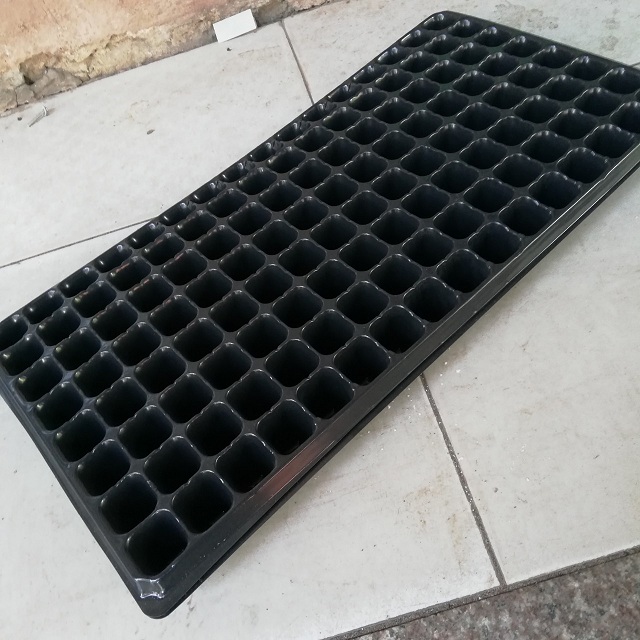 Khay ươm hạt giống, cây giống 128 lỗ độ bền cao dễ sử dụng